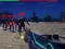 Игра Zombie Survivor онлајн