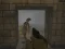 Игра Silent Asylum 2 онлајн