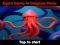 Игра Squid Game In Dalgona Panic онлајн