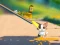 Игра Cat Challenge онлајн
