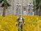 Игра Axe Of The Ancients Dwarven Fury онлајн