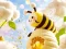 Игра Find The Differences: Little Bee's Adventure онлајн