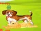 Игра Bunny Key Quest онлајн