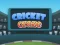 Игра Cricket Craze онлајн
