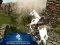 Игра Ertugrul Gazi Horse Sim онлајн
