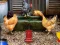 Игра Poultry Farm Easter Escape онлајн