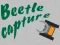 Игра Beetle Capture онлајн