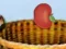 Игра Harvesting онлајн
