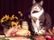 Игра Funny Cats Puzzle онлајн