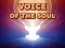 Игра Voice Of The Soul онлајн