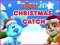 Игра Nick Jr. Christmas Catch онлајн