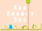 Игра Run Rabbit Run онлајн