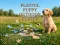 Игра Playful Puppy Outdoor Puzzle онлајн