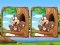 Игра Jungle 5 Diffs онлајн