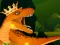 Игра The Dino King онлајн