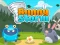 Игра Bunny Storm онлајн