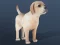 Игра IDLE Pet онлајн