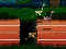 Игра Big Birds Racing онлајн