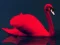 Игра Love Birds Puzzle онлајн