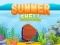Игра Summer Shell онлајн