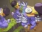 Игра Save The Dodos онлајн