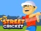 Игра Street Cricket онлајн