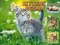 Игра Kittens Jigsaw онлајн