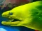 Игра Underwater World Jigsaw онлајн