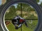 Игра Wild Hunt: Jungle Sniper Shooting онлајн