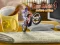 Игра Bike Mania 4 Micro Office онлајн