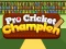 Игра Pro Cricket Champion онлајн