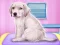 Игра Labrador at the doctor salon онлајн