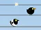 Игра Gone with the Birds онлајн