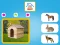 Игра Who Lives Here онлајн