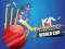 Игра Cricket World Cup Game онлајн