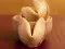Игра Fortune Cookies онлајн