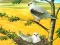 Игра Birds Of Prey Puzzle онлајн