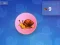 Игра Snail Clicker онлајн