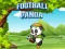 Игра Football Panda онлајн