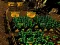 Игра Pixel Farm онлајн