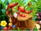 Игра Hidden Objects Insects онлајн