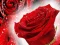 Игра Red Roses онлајн