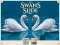 Игра Swans Slide онлајн