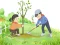 Игра Arbor Day Puzzle онлајн