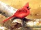 Игра Art Birds Puzzle онлајн