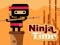 Игра Ninja Time онлајн
