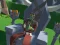 Игра Lazy Orcs: Arena онлајн