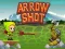 Игра Arrow Shoot онлајн