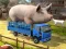 Игра Driver Master Simulator онлајн