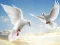 Игра Flying Birds онлајн